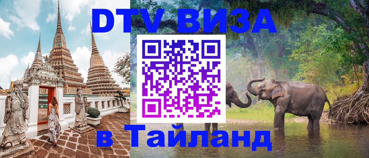Сколько стоит DTV виза — актуальные цены, оформление даже без документов - Электросталь 